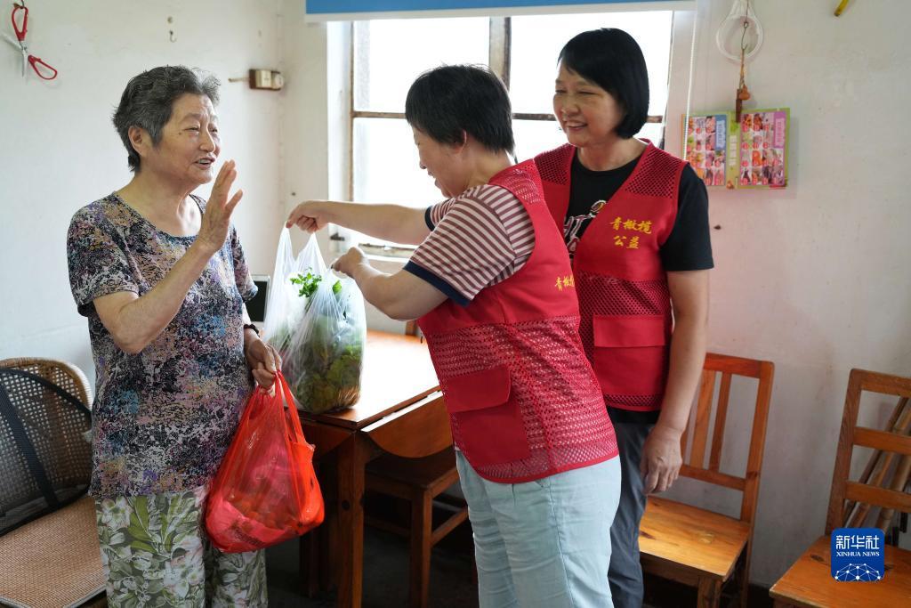 专业菠菜刷子论坛